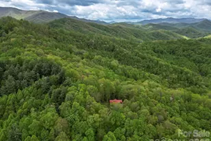 917 Otter Mountain Rd, Topton, NC 28781 - Photo 46