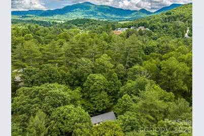 25 Blueberry Lane, Fairview, NC 28730 - Photo 46