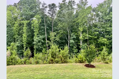 601 Deep River Way, Waxhaw, NC 28173 - Photo 20