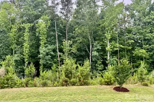 601 Deep River Wy, Waxhaw, NC 28173 - Photo 20