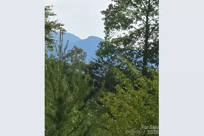 00 Misery Ridge Trail, Mill Spring, NC 28756 - Photo 8