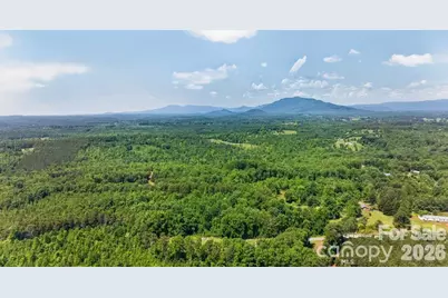 00 Misery Ridge Trail, Mill Spring, NC 28756 - Photo 36