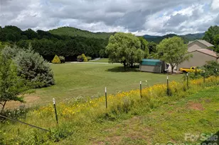 59 Ck Cabin Dr, Hot Springs, NC 28743 - Photo 4