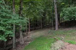 59 Ck Cabin Dr, Hot Springs, NC 28743 - Photo 44