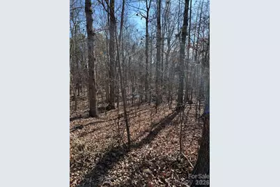 000 Alfred Road, Fort Mill, SC 29708 - Photo 1