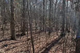 000 Alfred Rd, Fort Mill, SC 29708 - Photo 1