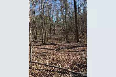 000 Alfred Road, Fort Mill, SC 29708 - Photo 2
