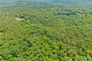 233 Orindawood Dr, McConnells, SC 29726 - Photo 30