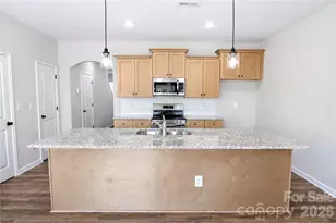 3118 Aberleaf Ln, Charlotte, NC 28227 - Photo 8