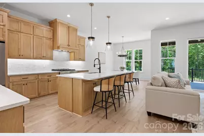 133 Juniper Road, Mooresville, NC 28115 - Photo 18