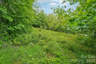 434 Dovers Br Rd, Burnsville, NC 28714 - Photo 38