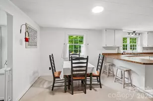434 Dovers Br Rd, Burnsville, NC 28714 - Photo 10