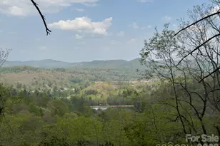 1971 Swiss Pine Lake Dr, Spruce Pine, NC 28777 - Photo 26
