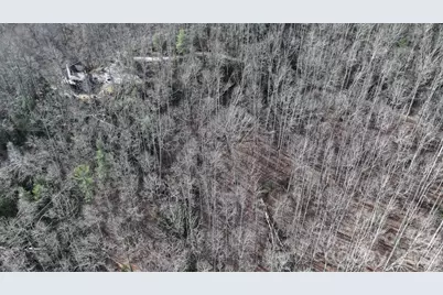 1971 Swiss Pine Lake Drive, Spruce Pine, NC 28777 - Photo 30