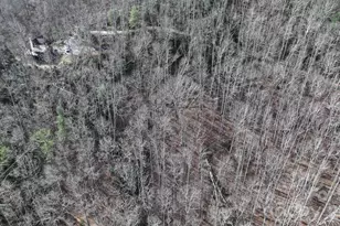 1971 Swiss Pine Lake Dr, Spruce Pine, NC 28777 - Photo 30