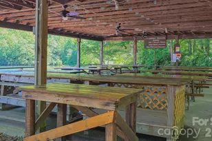 1971 Swiss Pine Lake Dr, Spruce Pine, NC 28777 - Photo 36
