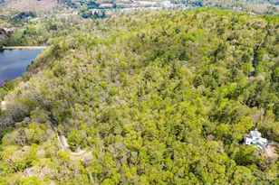 1971 Swiss Pine Lake Dr, Spruce Pine, NC 28777 - Photo 20