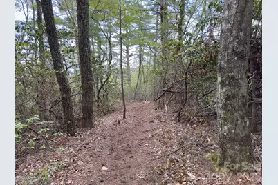 1971 Swiss Pine Lake Drive, Spruce Pine, NC 28777 - Photo 24
