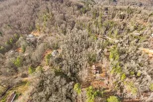 1971 Swiss Pine Lake Dr, Spruce Pine, NC 28777 - Photo 28