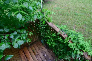 24 Sarabec Hill Rd, Black Mountain, NC 28711 - Photo 20
