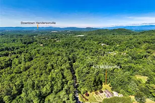 435 McMinn Rd, Hendersonville, NC 28792 - Photo 48