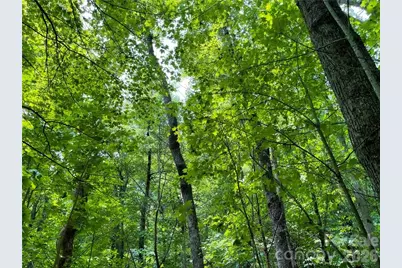 L-36 Saint Moritz Lane #Lot 36, Spruce Pine, NC 28749 - Photo 12