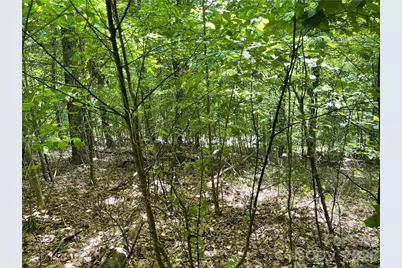 L-36 Saint Moritz Lane #Lot 36, Spruce Pine, NC 28749 - Photo 6