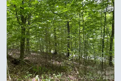 L-36 Saint Moritz Lane #Lot 36, Spruce Pine, NC 28749 - Photo 10