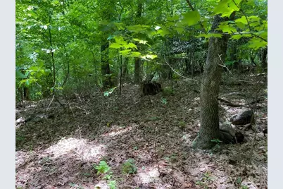 L-36 Saint Moritz Lane #Lot 36, Spruce Pine, NC 28749 - Photo 4