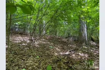 L-36 Saint Moritz Lane #Lot 36, Spruce Pine, NC 28749 - Photo 8