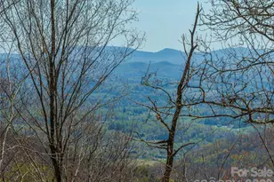 370 Autumn Rdg Ln, Hendersonville, NC 28792 - Photo 1