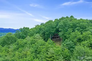 820 Wild Rose Ln, Burnsville, NC 28714 - Photo 36
