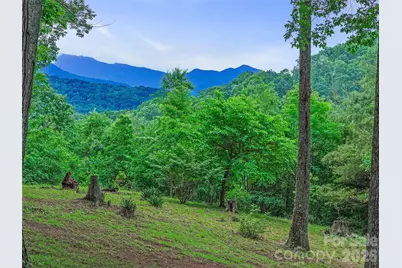 820 Wild Rose Lane, Burnsville, NC 28714 - Photo 38