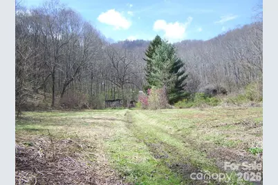 58 Collier Lane, Waynesville, NC 28786 - Photo 4