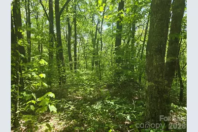 000 Greenspire Road, Sylva, NC 28779 - Photo 8