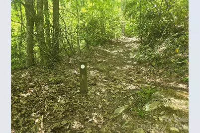 000 Greenspire Road, Sylva, NC 28779 - Photo 16