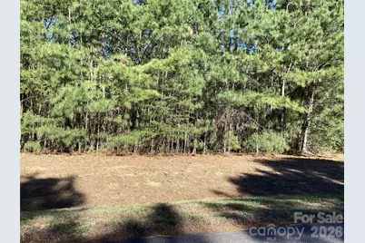 307 Twin Cove Drive #125, Connelly Springs, NC 28612 - Photo 1