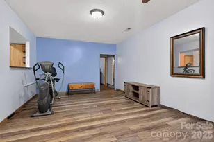 66 Misery Ridge None, Mill Spring, NC 28756 - Photo 28