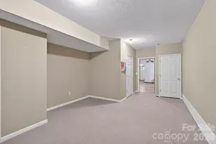 66 Misery Ridge None, Mill Spring, NC 28756 - Photo 32