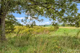 128 Cook Ln, Mills River, NC 28759 - Photo 44