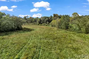 128 Cook Ln, Mills River, NC 28759 - Photo 40