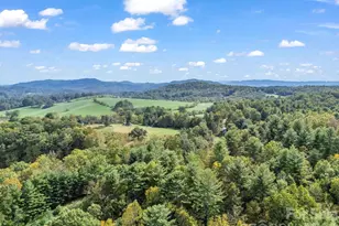 128 Cook Ln, Mills River, NC 28759 - Photo 42