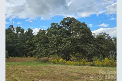 128 Cook Lane #(25 Acres), Mills River, NC 28759 - Photo 30