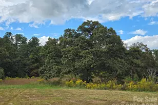 128 Cook Ln, Mills River, NC 28759 - Photo 30