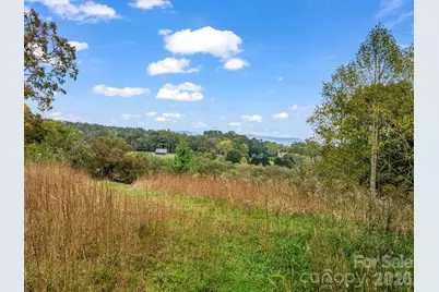 128 Cook Lane #(25 Acres), Mills River, NC 28759 - Photo 42