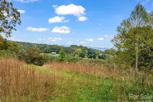 128 Cook Ln, Mills River, NC 28759 - Photo 42