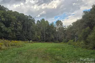 128 Cook Ln, Mills River, NC 28759 - Photo 28