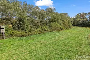 128 Cook Ln, Mills River, NC 28759 - Photo 38