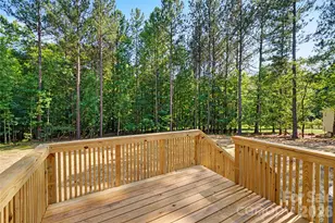4424 Mountain Creek Rd, Iron Station, NC 28080 - Photo 34