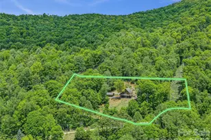 483 Birdie Ln, Bakersville, NC 28705 - Photo 42